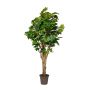 Acero decorativo DEMJAN, tronco reale, verde, 175 cm - Made in Italy