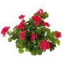 Fiore artificiale geranio MIA su bastoncino, rosa, 40 cm, Ø5-8 cm