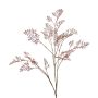 Ramo finto Asparagus plumosus RABETA, marrone-rosa, 100 cm