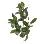 Ramo di mangrovia artificiale USTERA, germogli, difficilmente infiammabile, verde, 60 cm