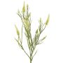 Ramo decorativo artificiale EUTIN con fiori, bianco-verde, 80 cm