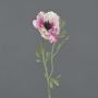 Anemone artificiale OKAPI, rosa-bianco, 55 cm, Ø 10 cm