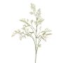 Ramo artificiale di asparagi WATTENS, bianco-verde, 100 cm