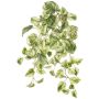 Pianta artificiale Efeututen Hänger SITIA, bastone, verde-bianco, 50 cm