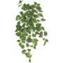 Edera artificiale POTTEN, bastoncino, verde-bianco, 80 cm