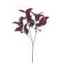 Ramo artificiale di eucalipto VIZIMIR con frutti, rosso bordeaux, 80 cm