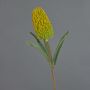 Fiore artificiale Banksia robur EREDIN, giallo, 70 cm