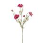 Ramo decorativo di cumino nero JENNIE, rosa shocking, 70 cm