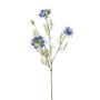 Ramo decorativo di cumino nero JENNIE, blu, 70 cm