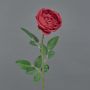 Fiore artificiale rosa THYRI, rosso, 65 cm