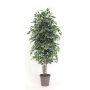 Ficus Benjamini decorativo KONRADE, tronchi veri, verde-bianco, 100 cm - Made in Italy