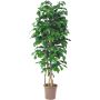 Quercia artificiale MIREEN, tronchi naturali, con frutti, verde, crossdoor, 275 cm - Made in Italy