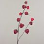 Ramo di physalis di plastica MARCY, frutti, rosso bordeaux, 95cm