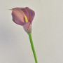 Calla artificiale TALEA, viola, 65cm, 9x11cm