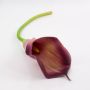 Calla sintetica TERESA, viola, 70cm, 10x18cm