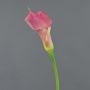 Calla sintetica TERESA, fucsia-giallo, 70cm, 10x18cm