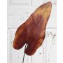 Foglia di caladium artificiale DONALD, arancione-marrone, 80cm