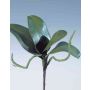Foglie artificiali di orchidea Phalaenopsis DORTE, radici aeree, 22x28cm