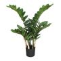 Pianta artificiale Zamioculcas AHLEON, 70 cm