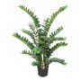 Pianta artificiale Zamioculcas AHLEON, 130 cm