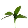 Foglie artificiali orchidea Phalaenopsis TRIVLEN, bastoncino, 20 cm