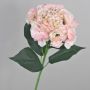 Ortensia finta ANGELINA, rosa-verde, 70cm, 23cm