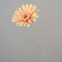 Gerbera sintetica VIRGINIA, crema-rosa, 55cm, Ø11cm