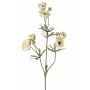 Ranuncolo artificiale YARIS, crema, 65cm, Ø3-4,5cm