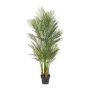 Palma decorativa Areca URUBE in vaso decorativo, 160 cm