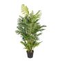 Palma decorativa Areca HAZMI, 170 cm
