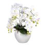Composizione floreale artificiale orchidea Phalaenopsis WEMBER con salice contorto, vaso in ceramica, radici, bianco, 55 cm