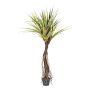 Palma artificiale Pandanus LENHAX in vaso decorativo, radici, 270 cm