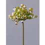 Piracanta finta CLEO, con bacche, crema-verde, 20cm