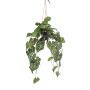 Pianta artificiale anthurium in sospensione MORGANE, vaso decorativo, verde, 80 cm