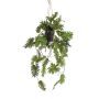 Pianta artificiale filodendro Selloum in sospensione URCO, vaso decorativo, 80 cm
