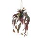 Begonia artificiale in sospensione VIALO, vaso decorativo, verde-bianco, 80 cm