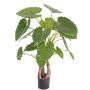 Alocasia artificiale SURI, verde, 120cm