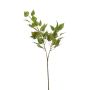 Ramo decorativo di betulla NERIS con fiori, verde, 70 cm