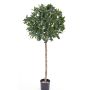 Pianta d'alloro finto ALEXIOS, tronco vero, frutti, 175cm, Ø70cm