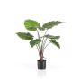 Pianta artificiale Alocasia Calidora FAYOR, verde, 70 cm