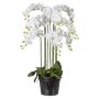 Orchidea Phalaenopsis artificiale LOPASY, radici, bianca, 110 cm