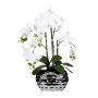 Fiore artificiale Phalaenopsis Orchidea SINKA in vaso decorativo argento, bianco, 55 cm
