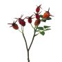 Ramo decorativo rosa selvatica BRULFI con bacche di rosa canina, arancione, 25 cm
