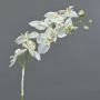 Phalaenopsis artificiale NALANI, innevato, bianco, 80cm, Ø8-10cm