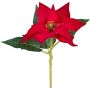 Fiore di plastica Stella di Natale KASNERK, rosso, 40 cm