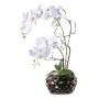 Composizione floreale artificiale orchidea salice contorto TICHIO, vaso decorativo, radici, bianco, 55 cm
