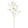 Ramo decorativo rosa di patata BLINTO con bacche di rosa canina, oro metallizzato, 135 cm