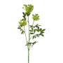 Ramo artificiale Carota selvatica TOLHER, verde, 85 cm