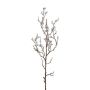 Ramo decorativo bacche KLIMOR, bacche, argento, 60 cm