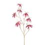 Gloriosa di velluto KAZBEK, rosa antico-oro, 110 cm